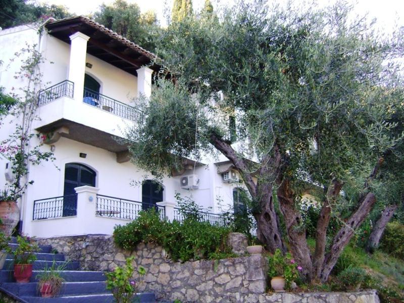 Natasa And Spiros Appartement Paleokastritsa Buitenkant foto
